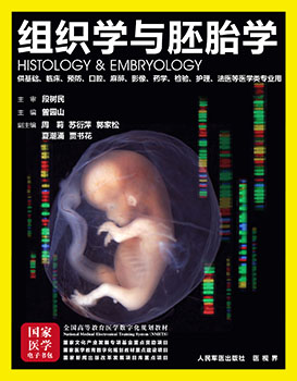 《组织学与胚胎学》