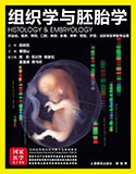 组织学与胚胎学